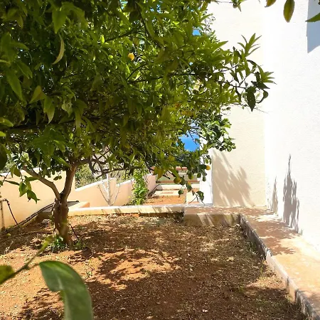 Nysa7 *
