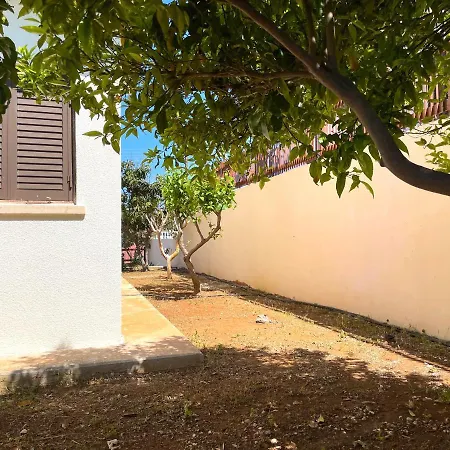 Nysa7 Paphos