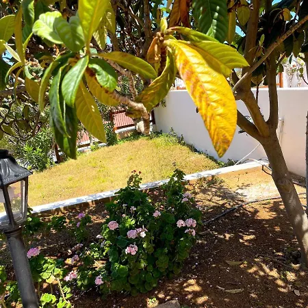 Nysa7 Villa *