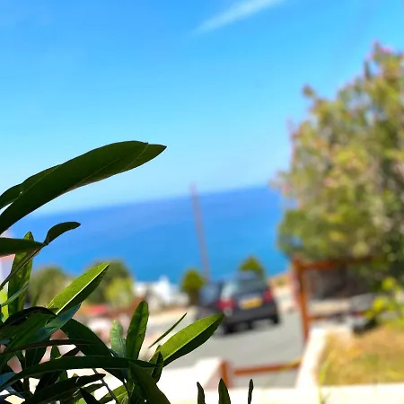 Nysa7 Paphos