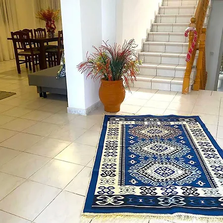 فيلة Nysa7 بافوس