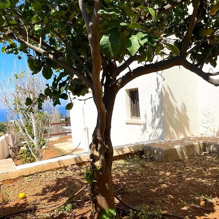 Villa Nysa7 Paphos